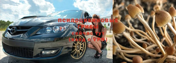 COCAINE Алзамай