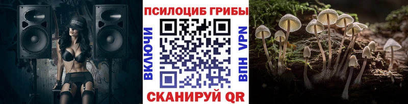 ссылка на мегу ссылка  Ставрополь  Галлюциногенные грибы Psilocybine cubensis 